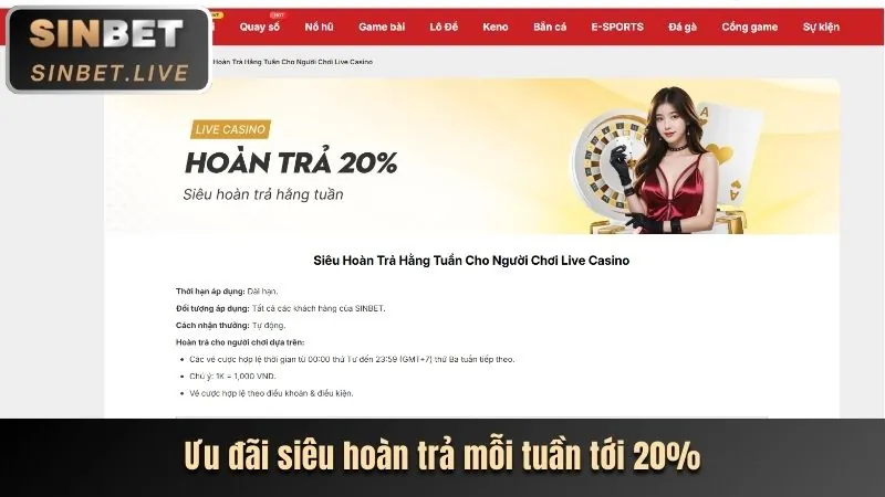 Sự kiện và giải đấu WSTAR77